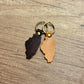Illinois Keyfob