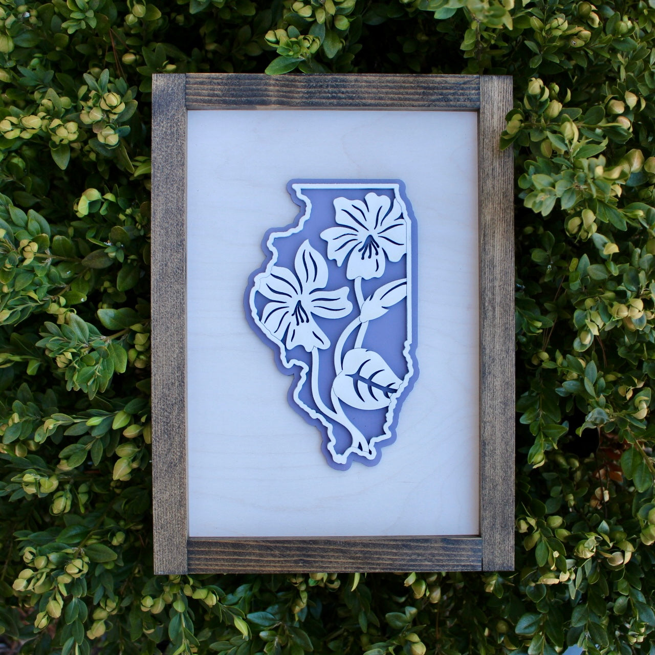 Illinois Violets Wall Art