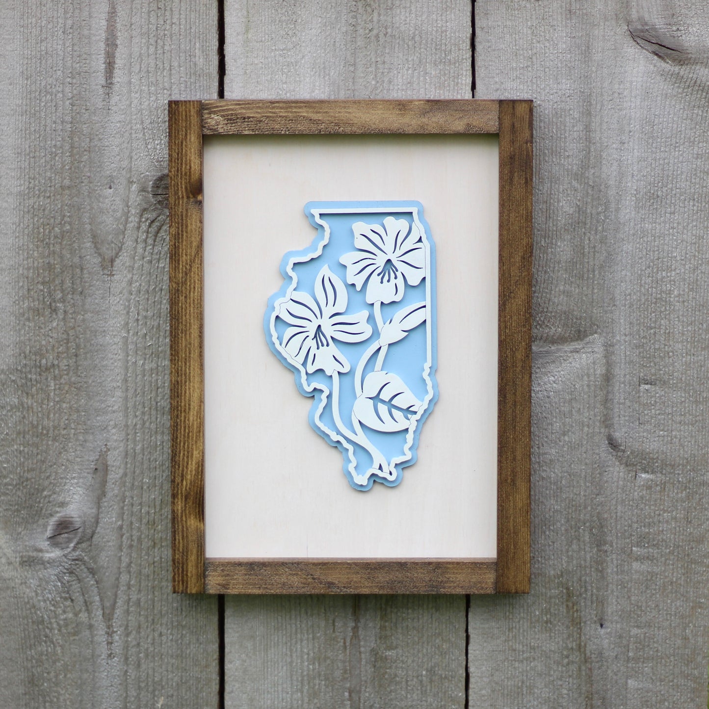 Illinois Violets Wall Art