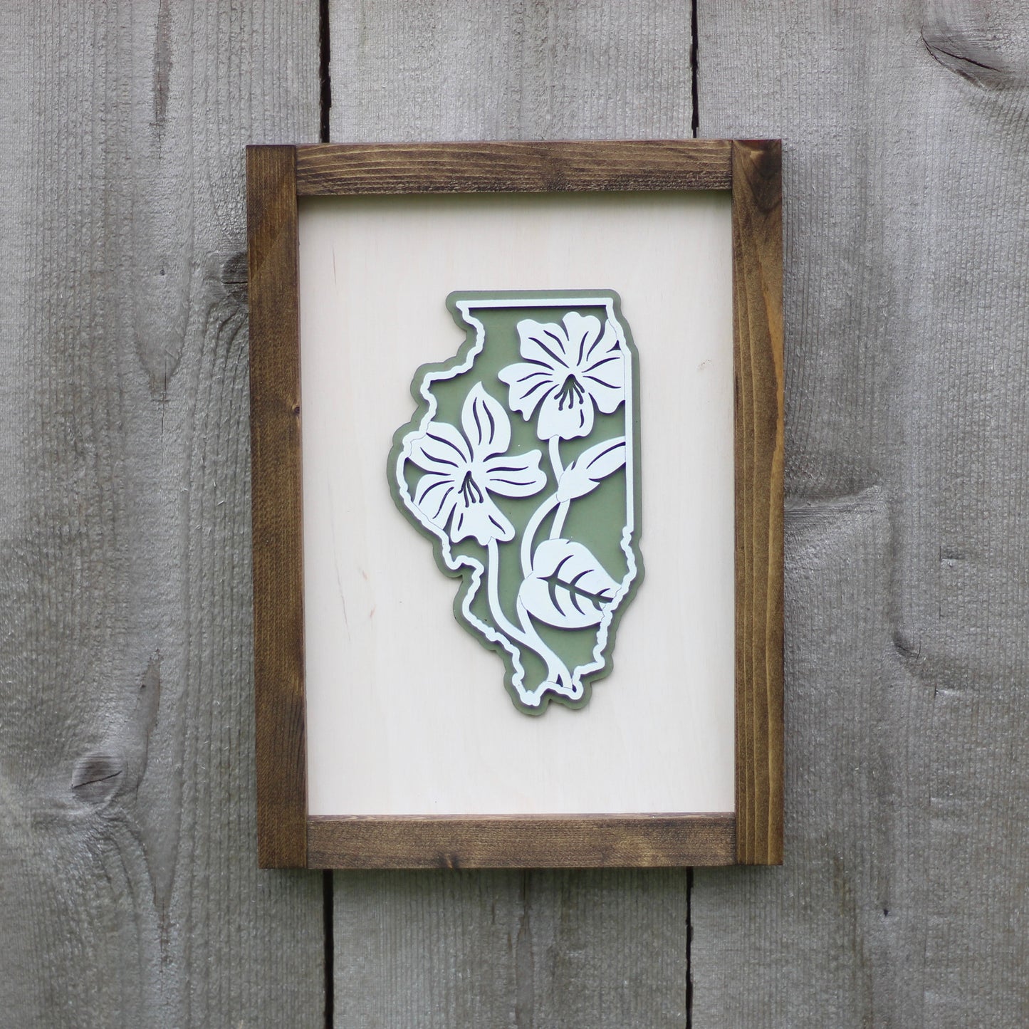 Illinois Violets Wall Art