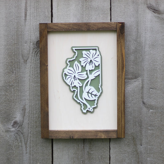 Illinois Violets Wall Art